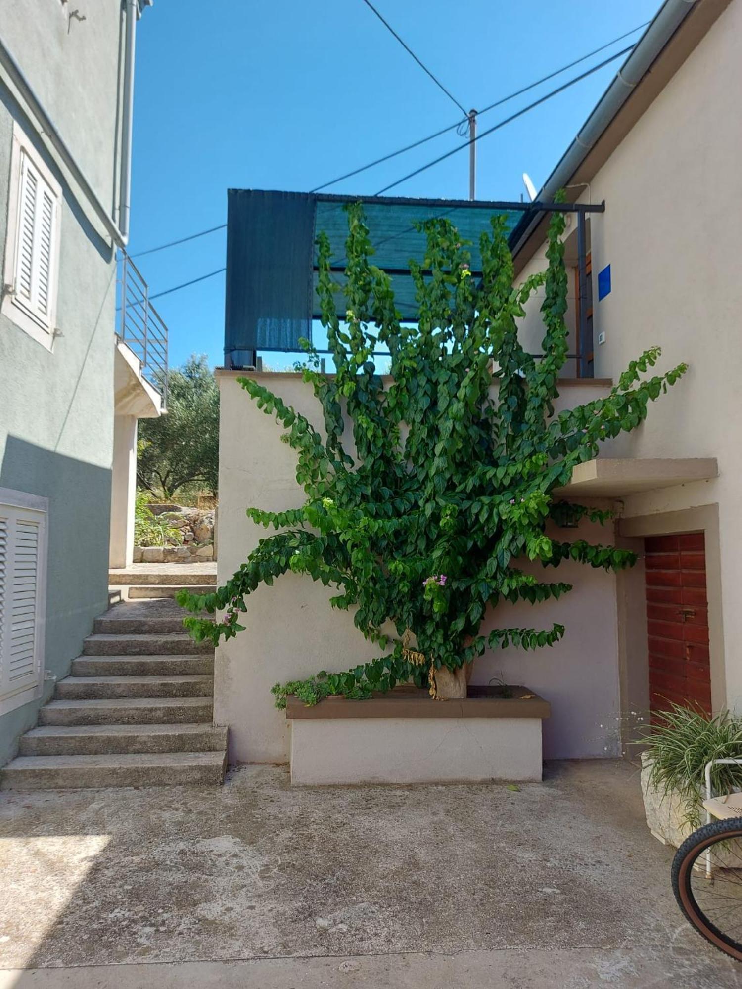 Apartmani Bugenvilija Brbinj Exterior photo